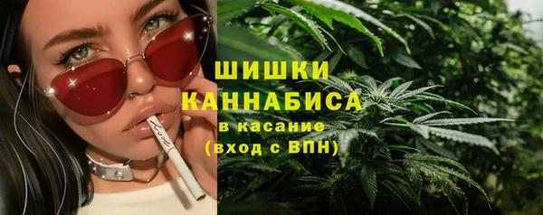 ПСИЛОЦИБИНОВЫЕ ГРИБЫ Алзамай