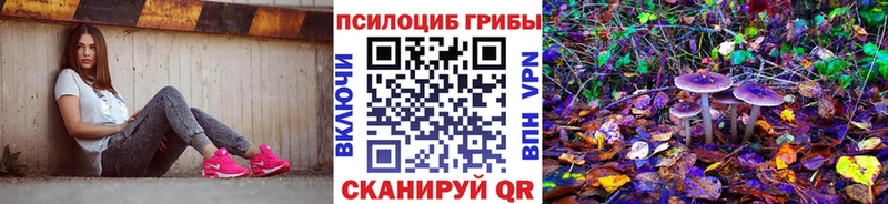 закладки  Котлас  Псилоцибиновые грибы MAGIC MUSHROOMS 