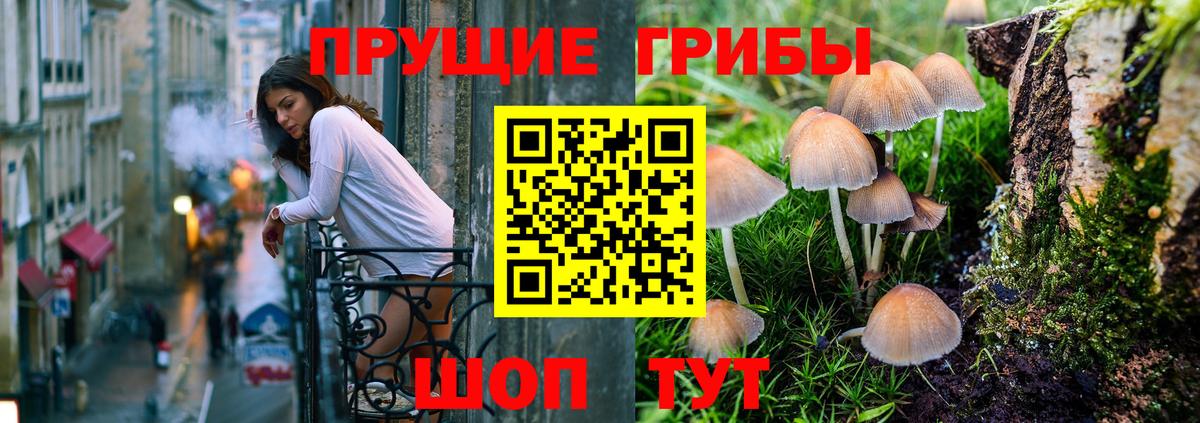 Котлас  Псилоцибиновые грибы мицелий  Вход с VPN 