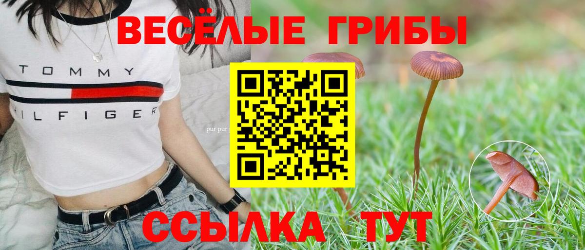Галлюциногенные грибы мухоморы Котлас