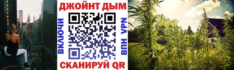 как найти закладки  Котлас  Канабис ГИДРОПОН 